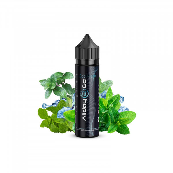 Allday2Go Longfill Cool Flash 10 ml